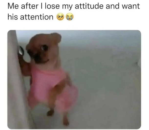 10 Memes That Will Always Be Funny & True To Women - picture 3
