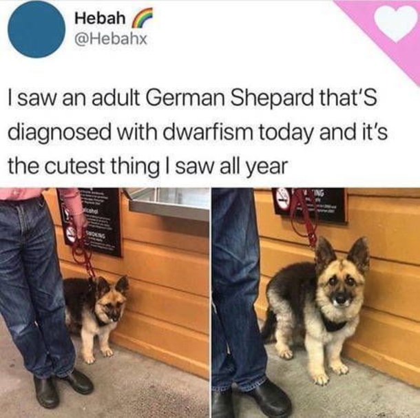 10 Memes That Will Have You In Tears Of Laughter - picture 10