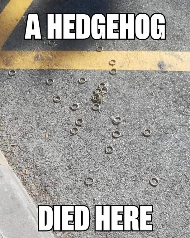10 Memes To Share On Social Media To Make Anyone Laugh - picture 4