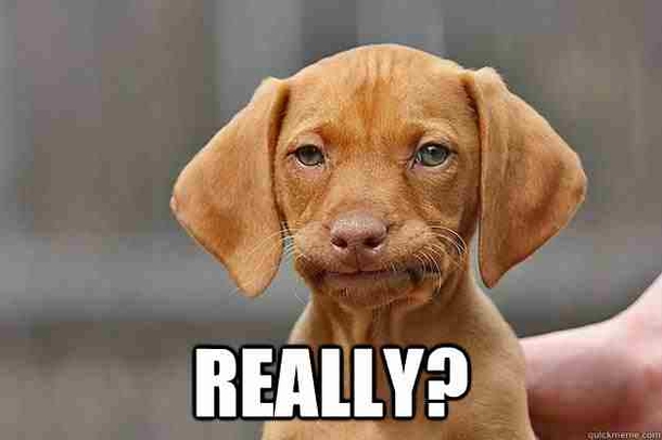 10 Memes To Share When You Are Annoyed - picture 10