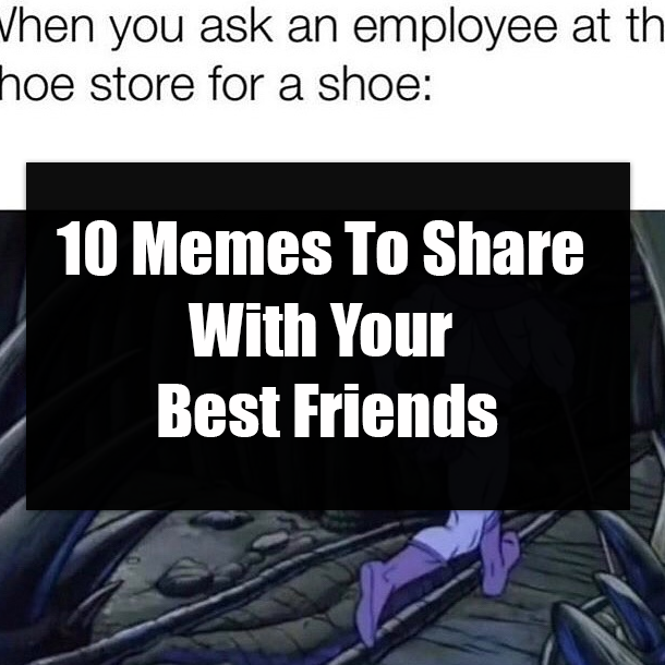 10 Memes To Share With Your Best Friends