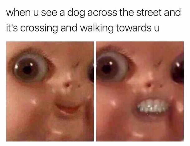 10 Memes To Share With Your Best Friends - picture 5