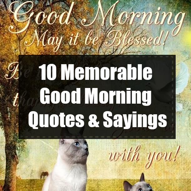 10 Memorable Good Morning Quotes & Sayings