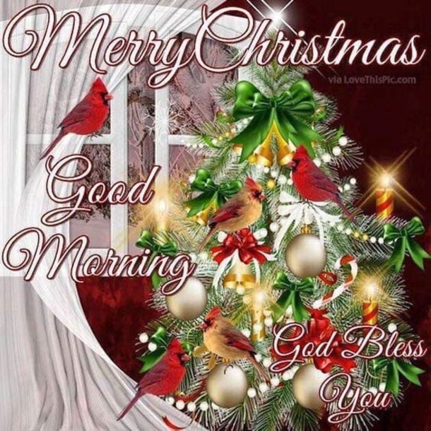 10 Merry Christmas 2022 Quotes, Sayings And Messages - picture 9