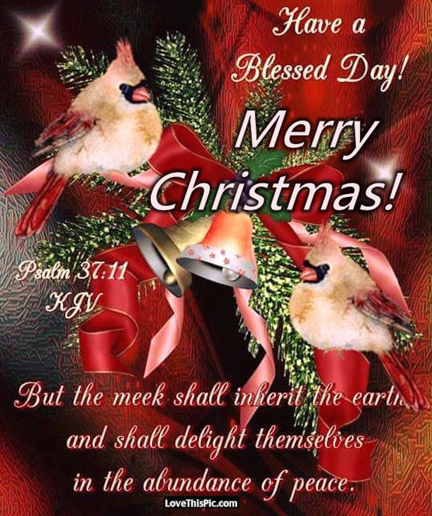 10 Merry Christmas Blessings To Fill Your Heart With Happiness - picture 9