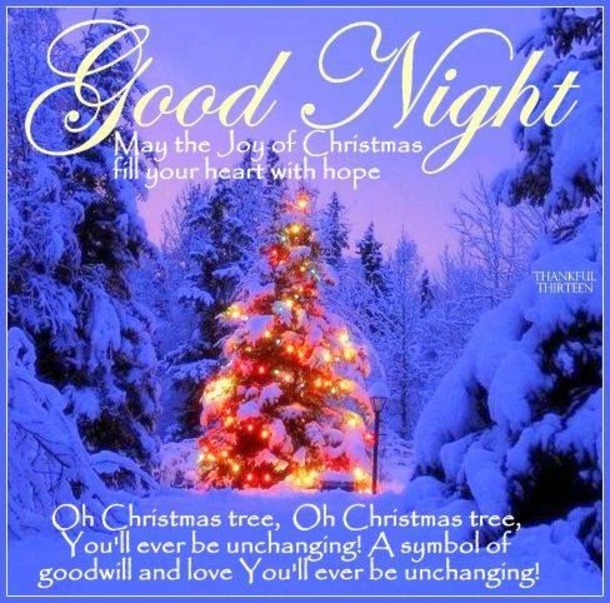 10 Merry Christmas Good Night Quotes, Wishes And Messages - picture 11