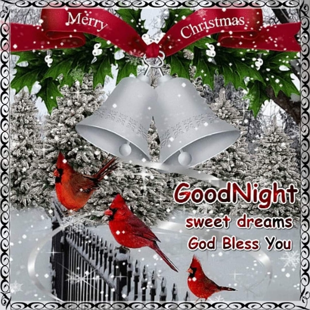 10 Merry Christmas Good Night Quotes, Wishes And Messages - picture 2