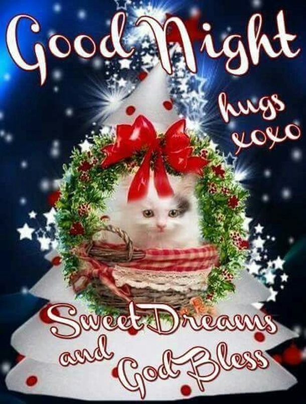 10 Merry Christmas Good Night Quotes, Wishes And Messages - picture 9