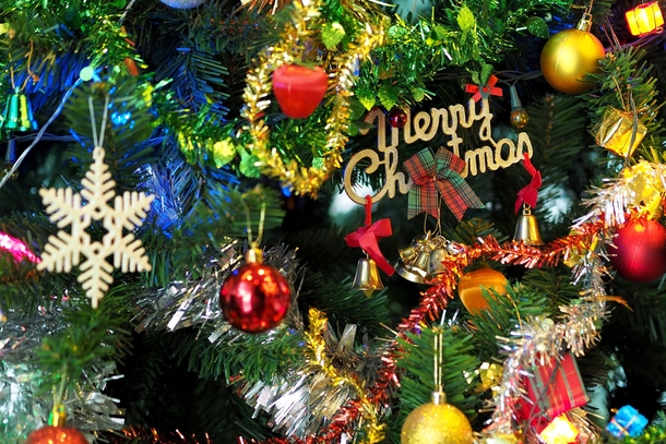 10 Merry Christmas Pictures With Quotes - picture 7