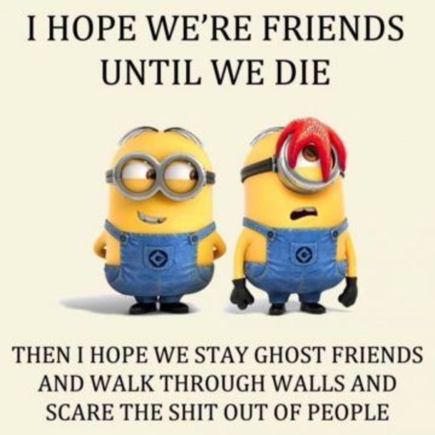 10 Minion Best Friend Quotes THat'll Make You Appreciate Your Friends - picture 11