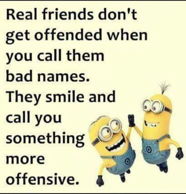 10 Minion Best Friend Quotes THat'll Make You Appreciate Your Friends - picture 3