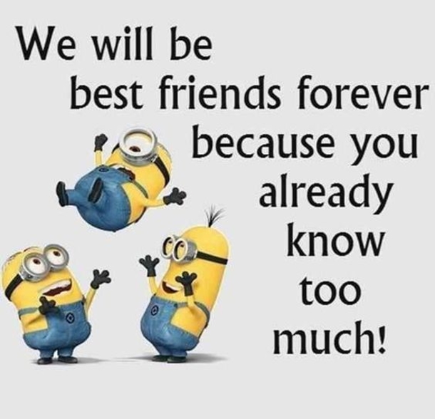 10 Minion Best Friend Quotes THat'll Make You Appreciate Your Friends - picture 7
