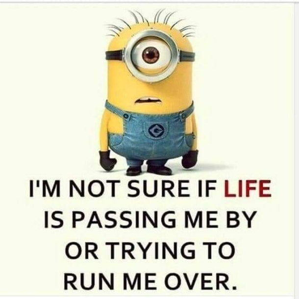 10 Minion Images With Quotes About Life That You Can Relate To - picture 11