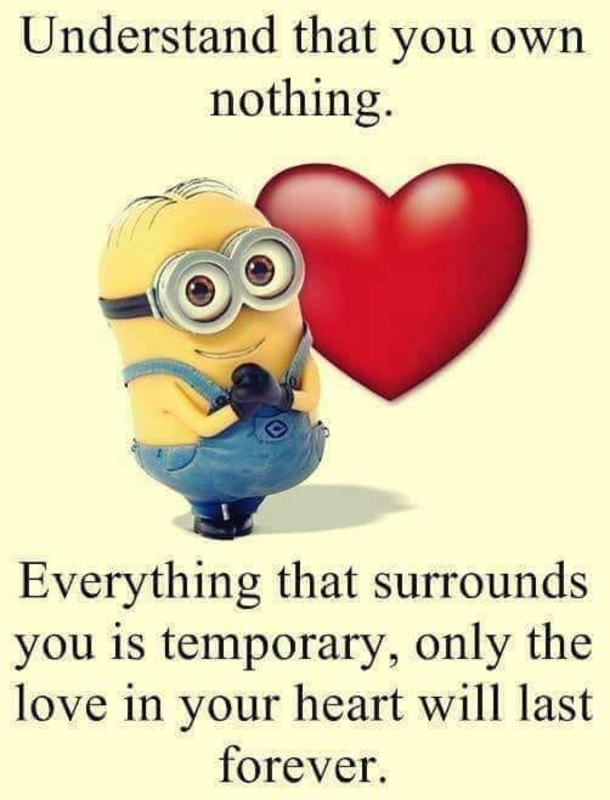 10 Minion Images With Quotes About Life That You Can Relate To - picture 4