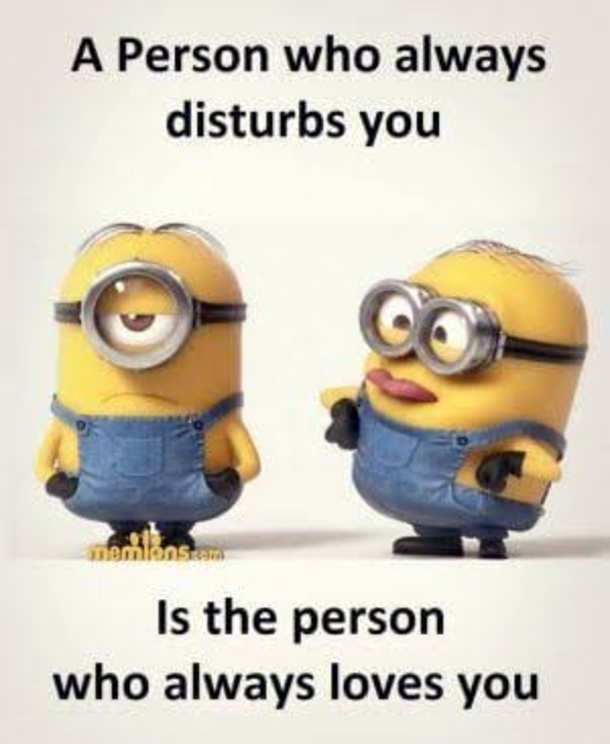 10 Minion Images With Quotes About Life That You Can Relate To - picture 7