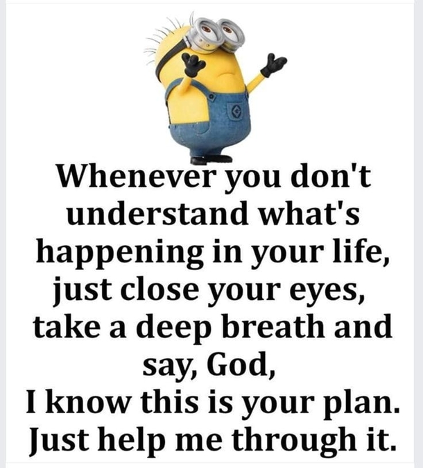 10 Minion Life & Love Quotes - picture 6