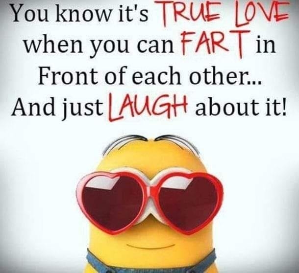 10 Minion Life & Love Quotes - picture 7