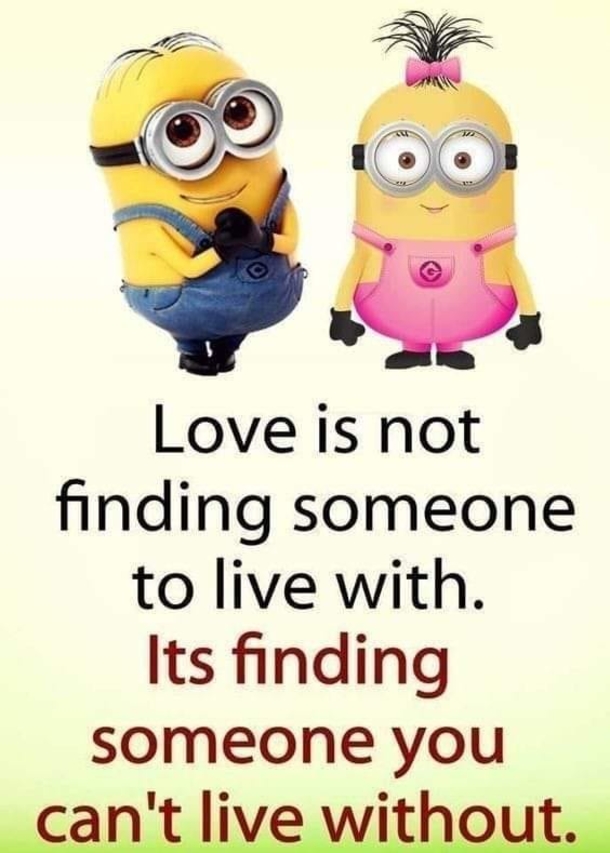 10 Minion Life & Love Quotes - picture 8