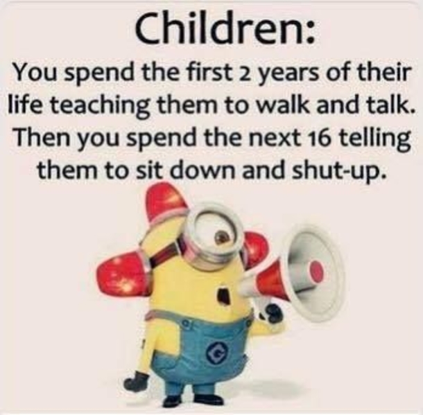 10 Minion Quotes About Parents - picture 2