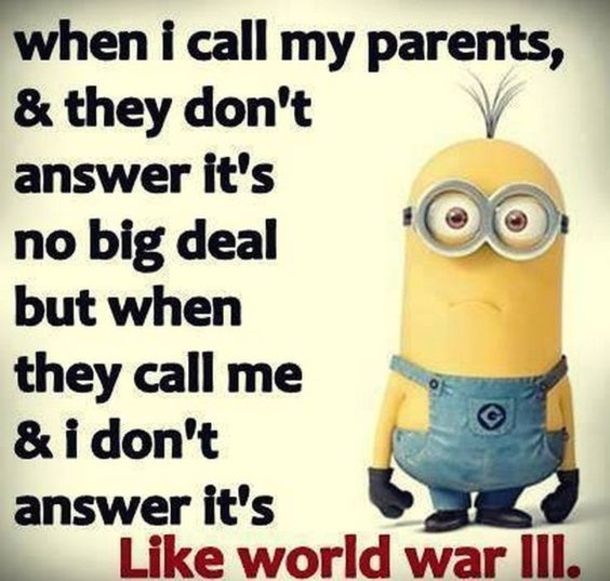 10 Minion Quotes About Parents - picture 8