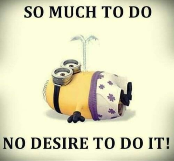 10 Minion Quotes For Enjoy Daily - picture 11