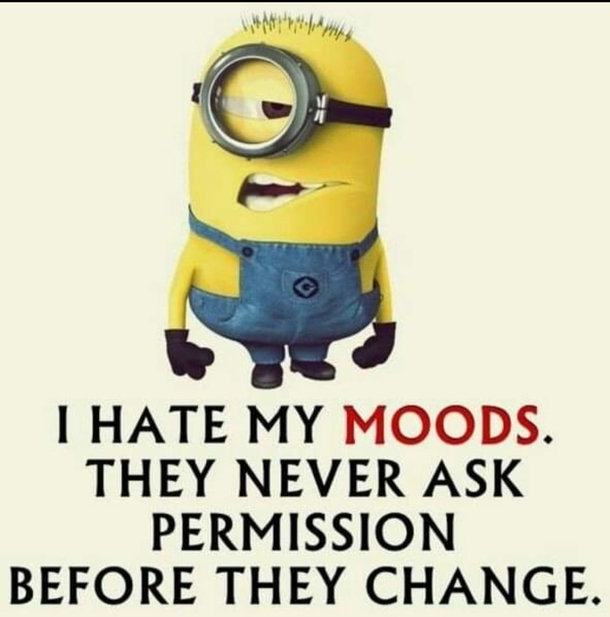 10 Minion Quotes For Enjoy Daily - picture 12
