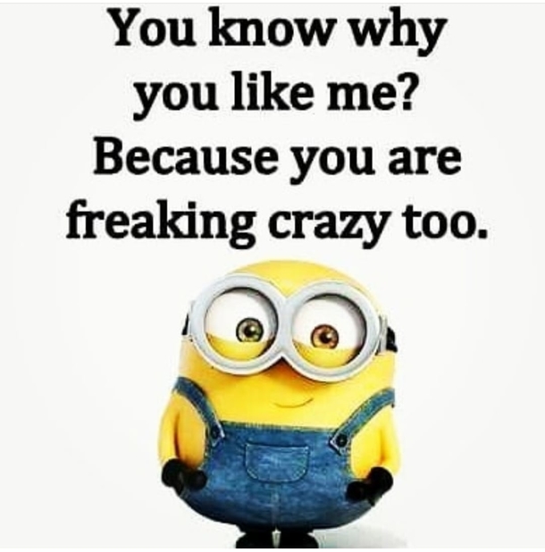 10 Minion Quotes For Enjoy Daily - picture 4