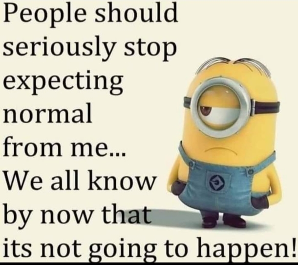 10 Minion Quotes For Enjoy Daily - picture 5