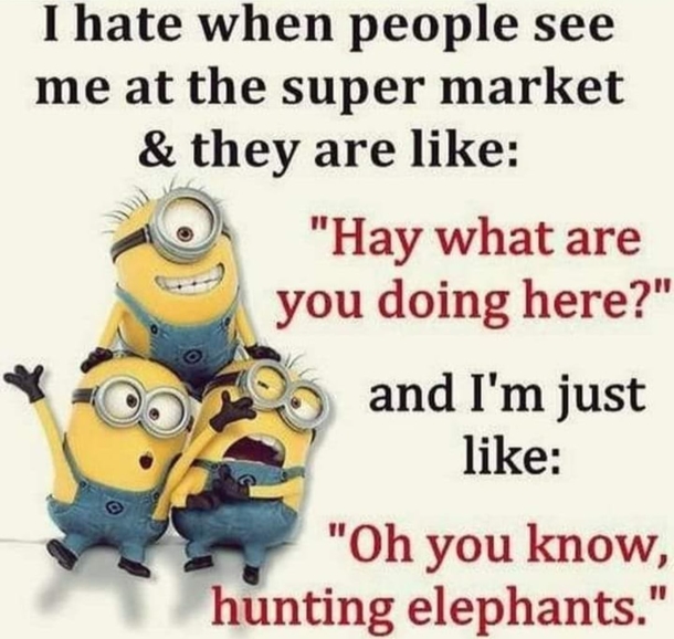 10 Minion Quotes For Enjoy Daily - picture 6