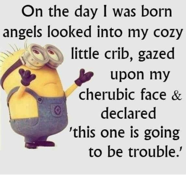 10 Minion Quotes For Enjoy Daily - picture 9
