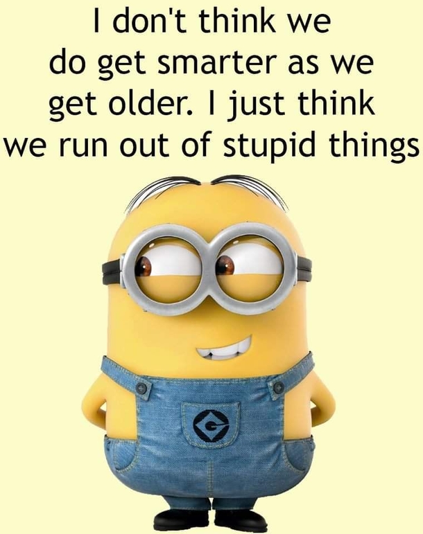 10 Minion Quotes On Life To Share With Family & Friends - picture 2