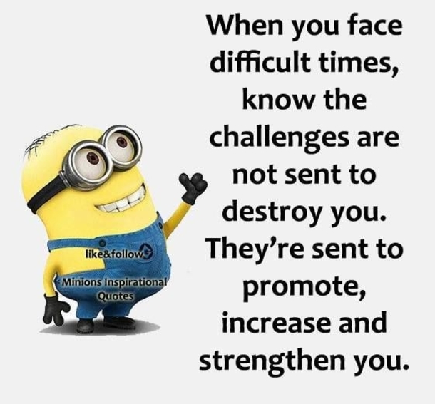 10 Minion Quotes On Life To Share With Family & Friends - picture 4