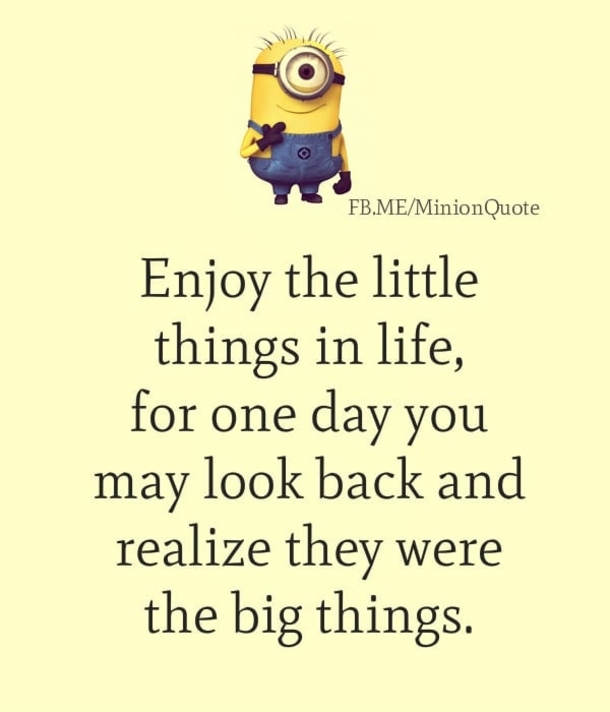 10 Minion Quotes On Life To Share With Family & Friends - picture 6