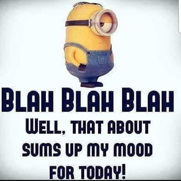 10 Minion Quotes That Relate To Everyday Life - picture 10
