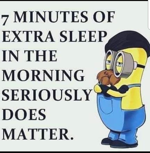10 Minion Quotes That Relate To Everyday Life - picture 4