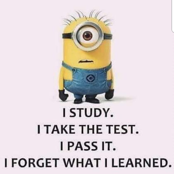 10 Minion Quotes That Relate To Everyday Life - picture 5
