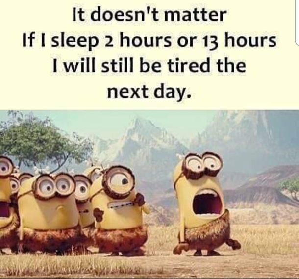 10 Minion Quotes That Relate To Everyday Life - picture 8