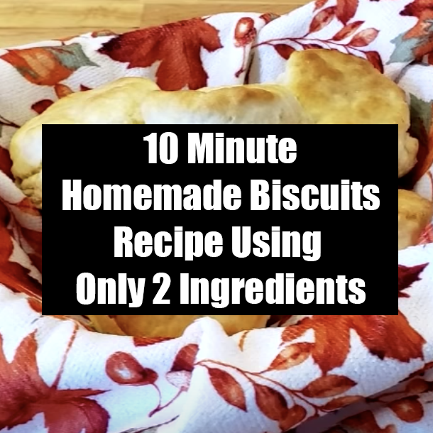 10 Minute Homemade Biscuits Recipe Using Only 2 Ingredients