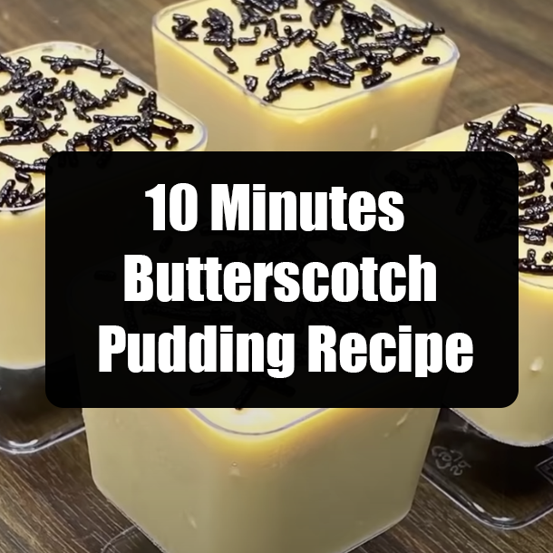 10 Minutes Butterscotch Pudding Recipe