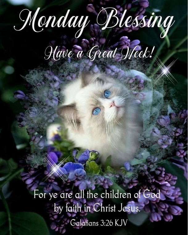 10 Monday Blessed Quotes To Start Your Week Beautifully - picture 8