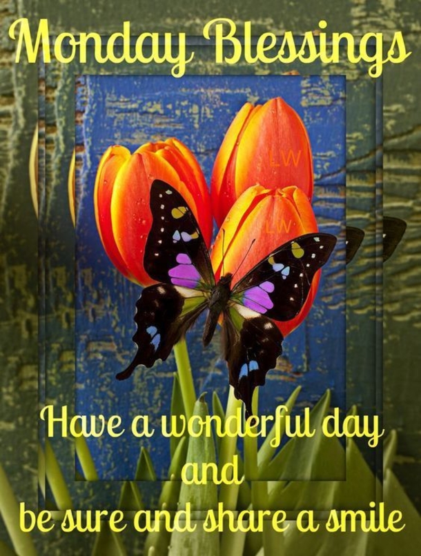 10 Monday Blessing Messages That Are Beautiful - picture 8