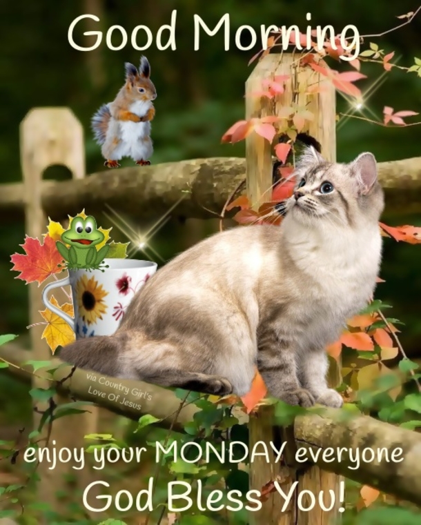 10 Monday Blessings And Images For A Positive Day - picture 3