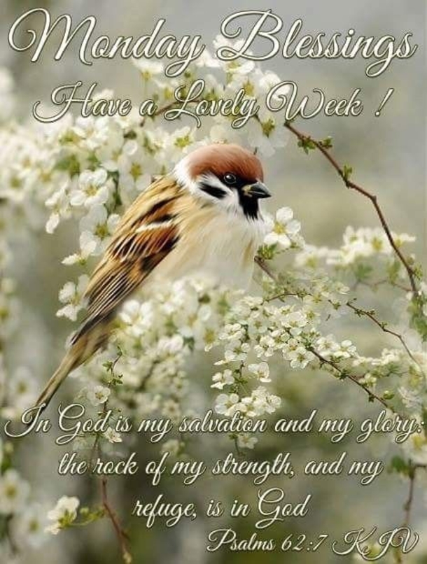 10+ Monday Blessings For The New Week - picture 2
