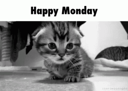 10 Monday Gifs For Those Who Hate Mondays - picture 5