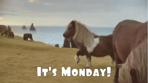 10 Monday Gifs For Those Who Hate Mondays - picture 6