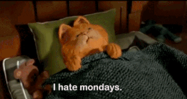 10 Monday Gifs For Those Who Hate Mondays - picture 8