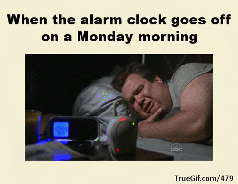 10 Monday Gifs To Get Your Day Start Perfectly - picture 12