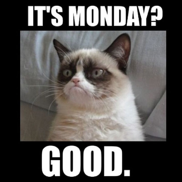 10 Monday Memes To Try And Help You Get Through The Day - picture 7