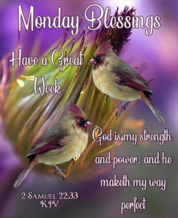 10+ Monday Pictures With Quotes For The New Week - picture 7