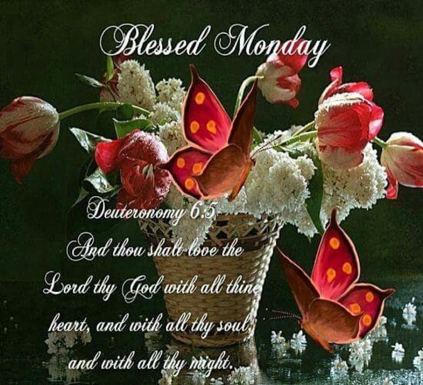 10+ Monday Pictures With Quotes For The New Week - picture 8